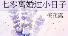 七零离婚过小日子