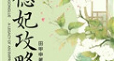 德妃攻略(清宫)