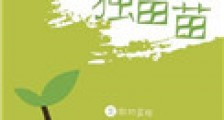 前朝独苗苗