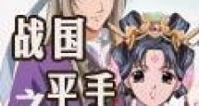 战国之平手物语