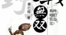 三国之野战无双