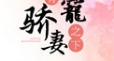 强宠之下,必有娇妻