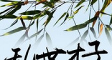 乱世才子