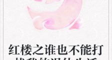 红楼之谁也不能打扰我的退休生活