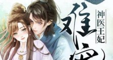 神医王妃超难宠