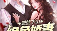 逆徒下山:绝色娇妻投怀送抱