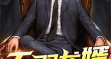 无双龙婿