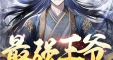 最强王爷:早朝时我从手表里掏出一件防弹衣!