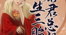 暴君总想生三胎