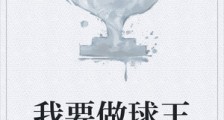 我要做球王