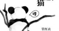我熊猫不服