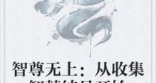 智尊无上:从收集智慧结晶开始