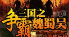 三国之争霸魏蜀吴