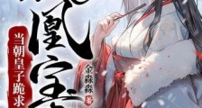 家有凤凰宝宝,当朝皇子跪求我下嫁