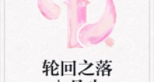 轮回之落入凡尘