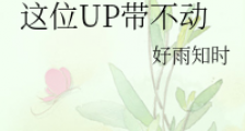 这位UP带不动
