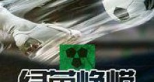 绿茵峥嵘
