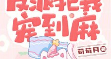 穿成炮灰把疯发,反派把我宠到麻