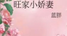 旺家小娇妻