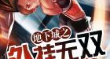地下城之外挂无双