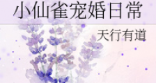 小仙雀宠婚日常