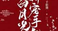 重生白月光娇宠手札