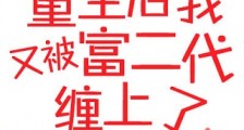 重生后又被富二代缠上了