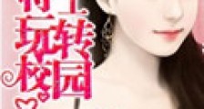 重生特工玩转校园