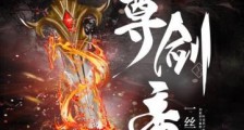 至尊剑帝笔趣阁版
