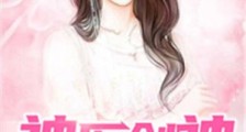 神医剑神笔趣阁版