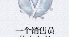 一个销售员的自白书笔趣阁版