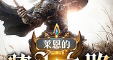 莱恩的骑士之路笔趣阁版