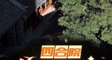 四合院:治理众禽,从签到开始2024版