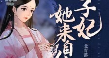 世子妃她来自仙门2024新版