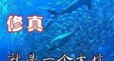 修真就是一个大坑