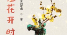 慕槿花开时2024新版