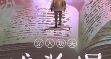 穿入功夫成酱爆笔趣阁版