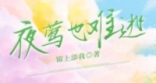 夜莺也难逃2024新版