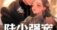 陆少强宠,小娇雀要单飞了2024新版