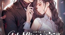 她携财产离婚,前夫全球追妻2024新版