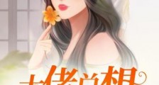 大佬总想跟我抢儿砸2024版