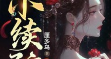 小续弦2024新版