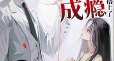 暗宠成瘾:九爷把自己搭上了!2024新版
