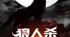 狼人杀:我盔上有洞2024新版