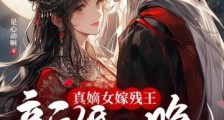 真嫡女嫁残王,新婚一晚就多胎2024新版