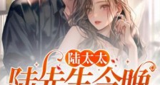 陆太太,陆先生今晚回来过夜2024新版