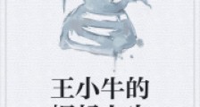 王小牛的崛起人生2024新版