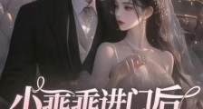 小乖乖进门后,大叔夜夜归家2024新版