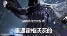 回到霍格沃茨的古代巫师2024新版