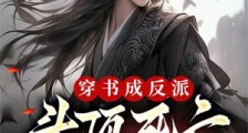 穿书成反派,头顶死亡倒计时!笔趣阁版